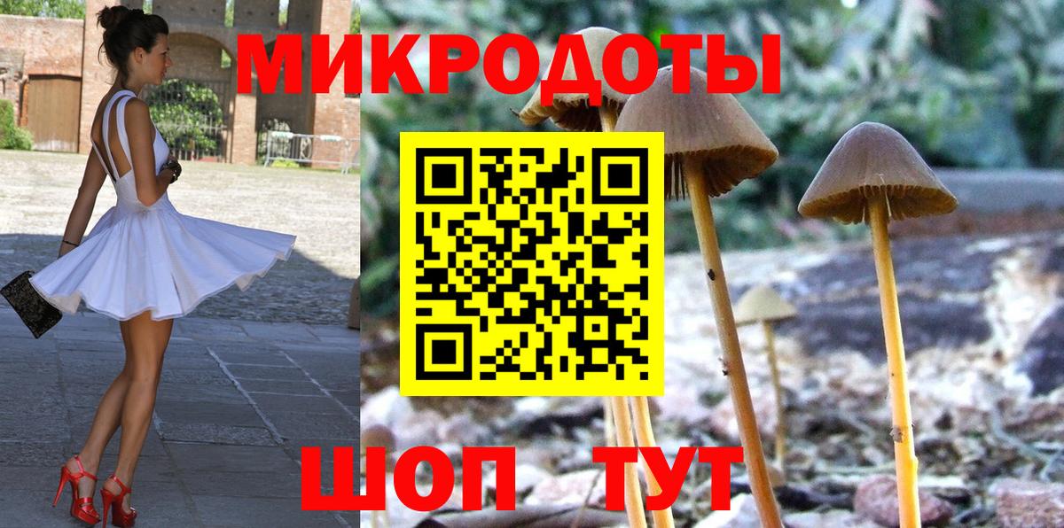Галлюциногенные грибы прущие грибы Шарыпово