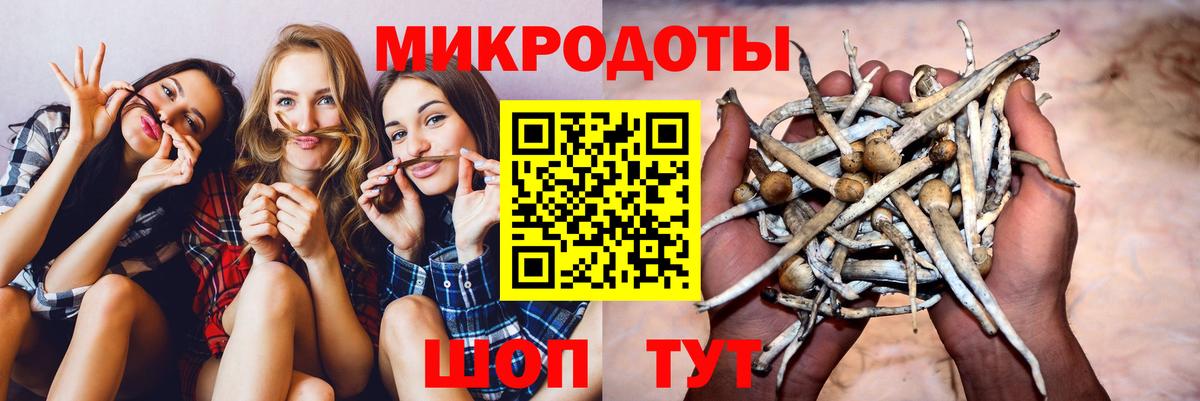 Шарыпово  Галлюциногенные грибы ЛСД  купить  сайты  Псилоцибиновые грибы ЛСД  Вход с VPN 